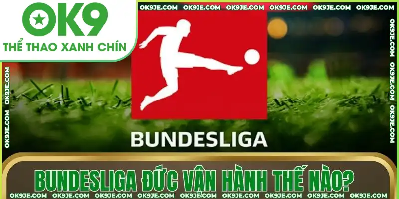 Bundesliga Đức vận hành thế nào? Bundesliga Đức vận hành thế nào?