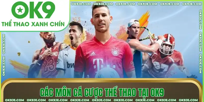 Các môn cá cược thể thao tại OK9