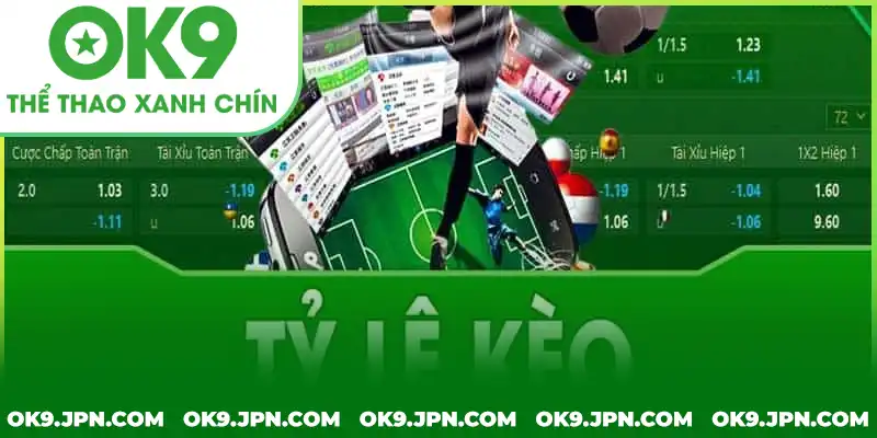 Các yếu tố ảnh hưởng đến kết quả kèo lựa mà bạn cần biết