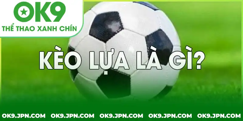 Kèo lựa là gì - Bí quyết chiến thắng cho người mới bắt đầu