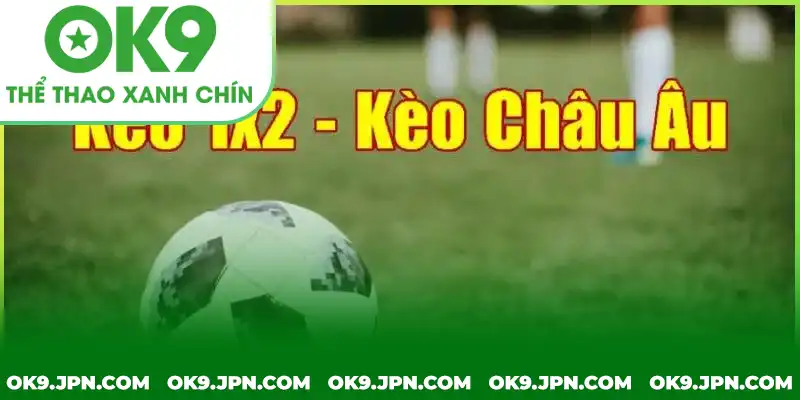 Hướng dẫn tính tiền thưởng kèo lựa châu Âu 1x2 chi tiết