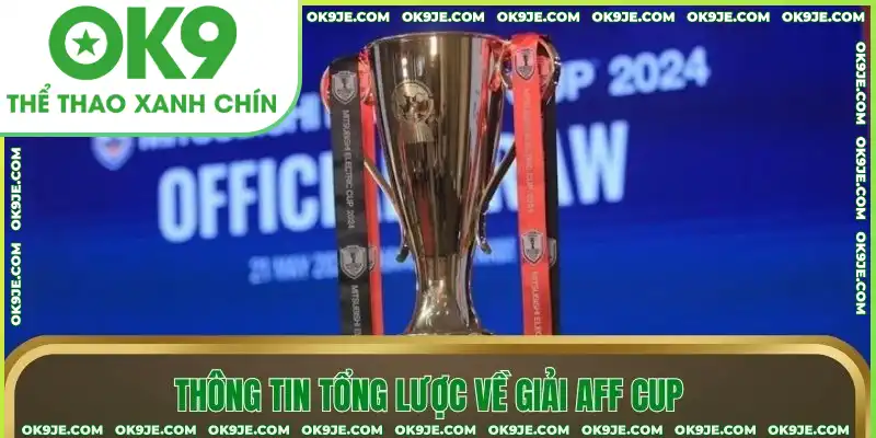 Thông tin tổng lược về giải AFF Thông tin tổng lược về giải AFF
